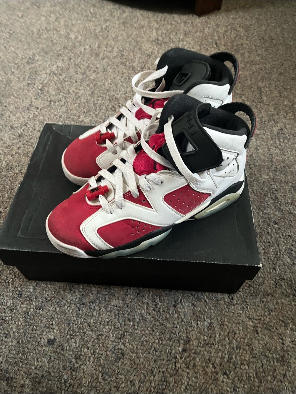 Jordan 6 Carmine 2021 Youth